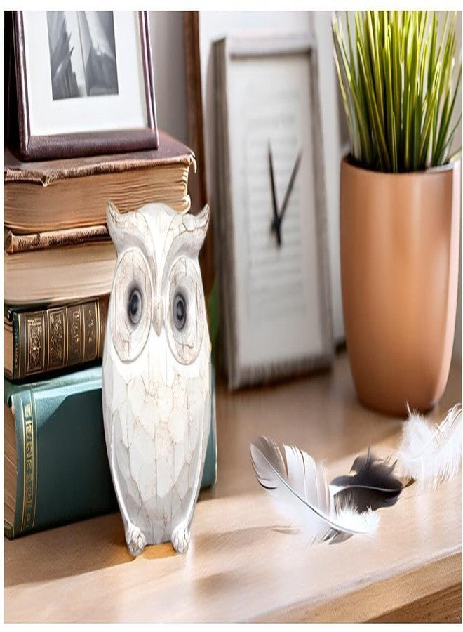 QIAOIDEA Rustic Carved Owl Figurine - Chubby Owl Decor for Home and Office - Shelf, Desktop, Cabinet, Fireplace Mantel - Image 2